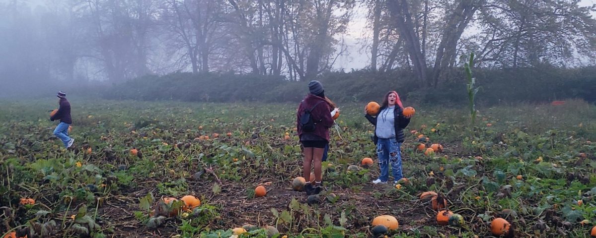 Oliverian halloween pumpkin patch