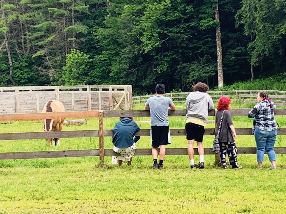 High Horses ice cream social